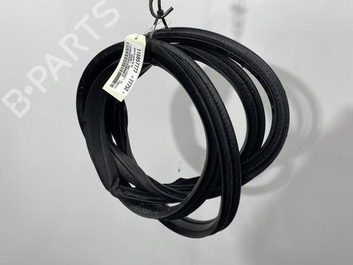 Goma contorno puerta FORD GRAND C-MAX (DXA/CB7, DXA/CEU) 1.6 TDCi | BP30548124C142 