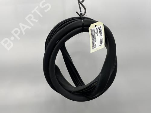 Used Rubber door seal RENAULT ZOE (BFM_) ZOE (88 hp) 25122678
