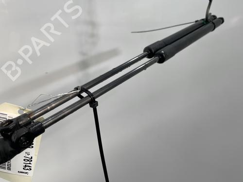 Tailgate lift support NISSAN QASHQAI I (J10, NJ10) 1.5 dCi | BP30115606C138 