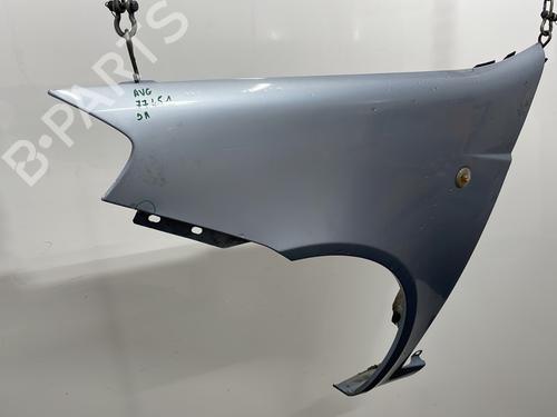 Left front fenders FIAT PUNTO (188_) 1.2 60 (188.030, .050, .130, .150, .230, .250) | BP29921989C41