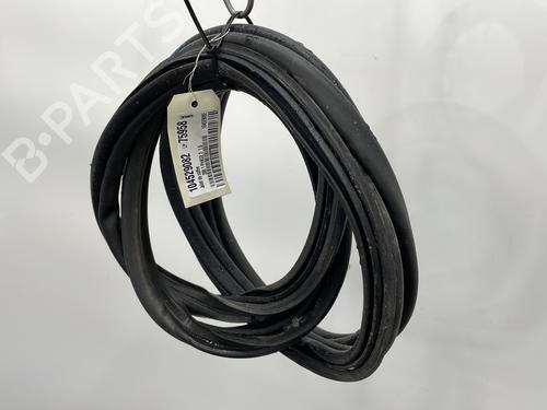 Rubber door seal PEUGEOT 308 I (4A_, 4C_) 1.6 HDi | BP25009372C142 
