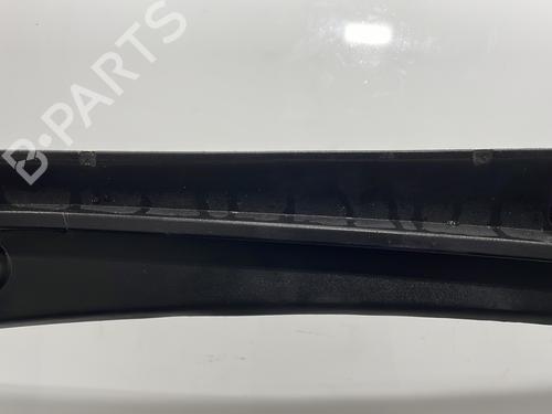 Scuttle panel RENAULT CLIO III (BR0/1, CR0/1) 1.5 dCi (C/BR0G, C/BR1G) | BP29976622C110