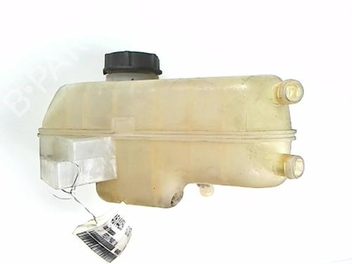 Expansion tank FORD FIESTA VI (CB1, CCN) 1.4 TDCi | BP20448139C120 
