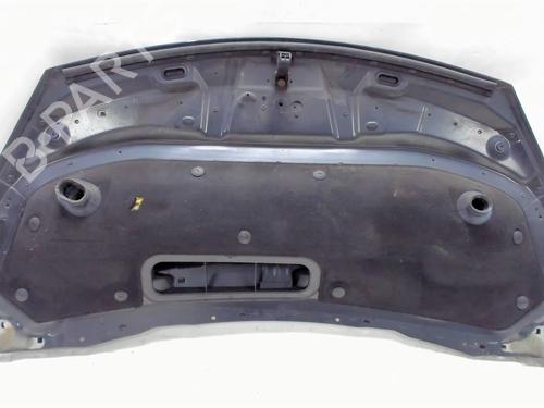 Hood RENAULT ESPACE IV (JK0/1_) 2.2 dCi (JK0H) | BP20413786C1 