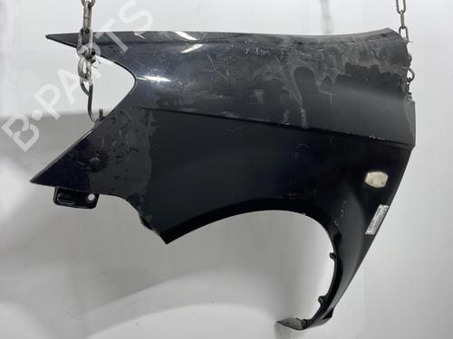 Left front fenders HYUNDAI GETZ (TB) 1.1 | BP20476873C41 