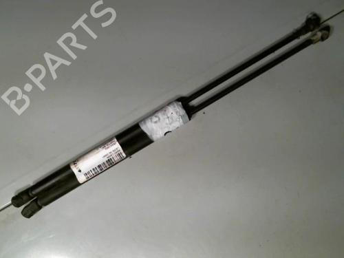 Used Tailgate lift support SEAT LEON (1M1) 1.9 TDI (110 hp) 25263946