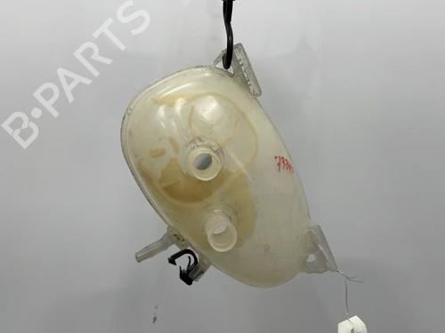 Used Expansion tank RENAULT TWINGO III (BCM_, BCA_) 0.9 TCe 90 (BCM9, BCM2) (90 hp) 20393801