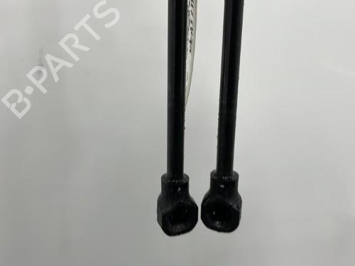 Tailgate lift support DACIA SANDERO II 1.2 | BP20420575C138 