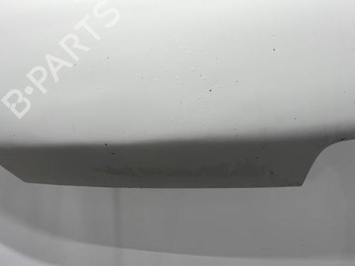 Hood FIAT DUCATO Van (230_) 2.5 D | BP20420420C1 