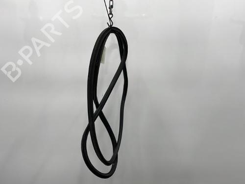 Used Rubber door seal VW GOLF PLUS V (5M1, 521) 1.9 TDI (105 hp) 20445040