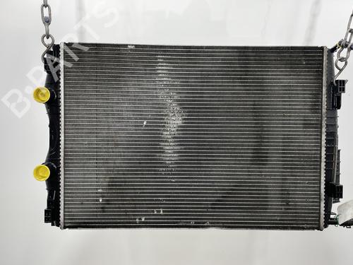 Used Water radiator RENAULT SCÉNIC II (JM0/1_) 2.0 dCi (JM1K) (150 hp) 30848248