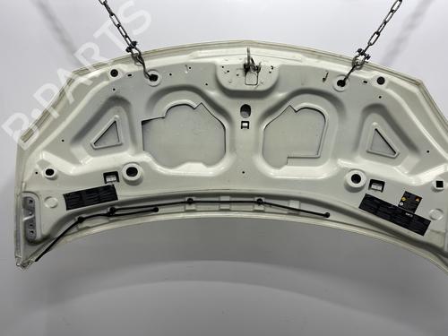 Hood RENAULT TWINGO II (CN0_) 1.2 16V (CN04, CN0B) | BP29256892C1 