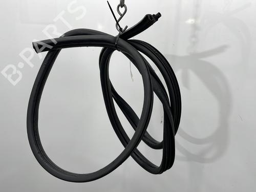 Rubber door seal RENAULT CLIO II (BB_, CB_) 1.5 dCi (B/C2J) | BP29438028C142 