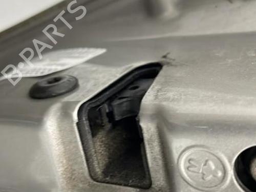 Used Left rear door SKODA FABIA II (542) 1.6 TDI (90 hp) 20442136