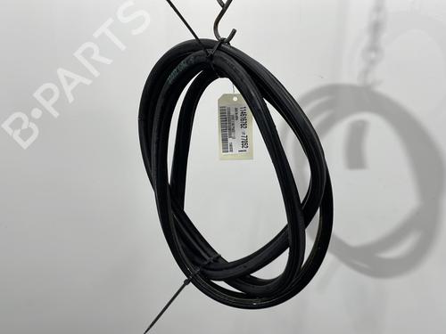 Rubber door seal BMW 3 (E46) 316 i | BP30329385C142 