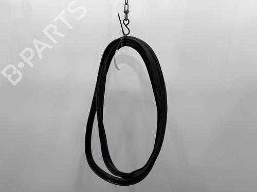 Used Rubber door seal RENAULT MEGANE III Hatchback (BZ0/1_, B3_) 1.9 dCi (BZ0N, BZ0J) (131 hp) 20463073