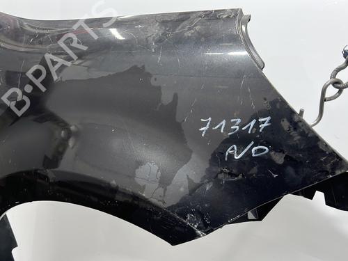 Right front fenders RENAULT MODUS / GRAND MODUS (F/JP0_) 1.5 dCi (FP0D, JP0D) | BP20396620C42 
