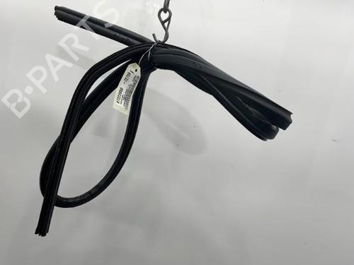 Used Rubber door seal FORD FIESTA VI (CB1, CCN) 1.4 TDCi (68 hp) 20419841