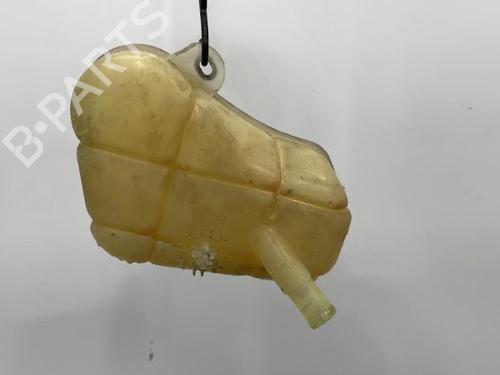 Used Expansion tank FIAT BRAVO II (198_) 1.6 D Multijet (198AXM1B) (90 hp) 20418532