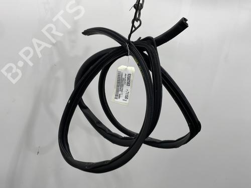 Used Rubber door seal TOYOTA COROLLA Verso (ZER_, ZZE12_, R1_) 2.0 D-4D (CUR10_, CUR10R) (116 hp) 20394738