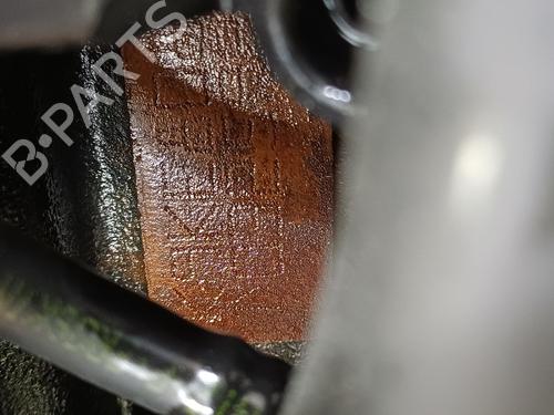 Engine RENAULT KANGOO BE BOP (KW0/1_)  | BP34336545M1  - Image 5