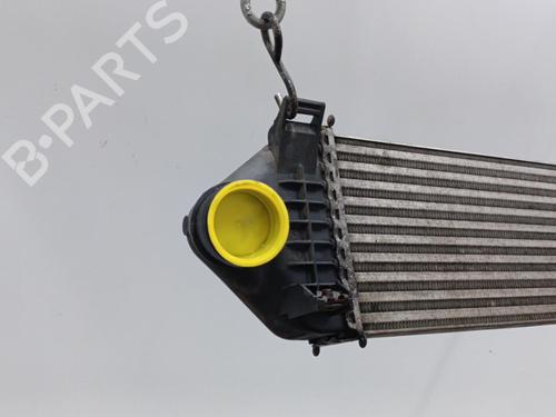 Intercooler FORD C-MAX (DM2) 1.8 TDCi | BP20396575M30  - Image 5