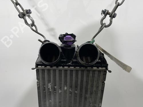 Used Intercooler Intercooler PEUGEOT 2008 II (UD_, US_, UY_, UJ_, UR_, UC_) 1.2 PureTech 100 (USHNK) (101 hp) 32149591 32149591