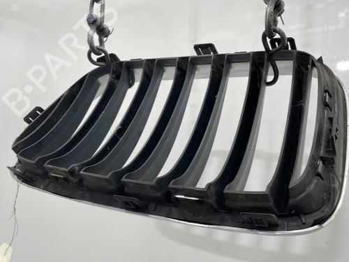 grille-bmw-x3-f25-2010-2011-2012-2013-2014-2015-2016-2017-27895099 main image