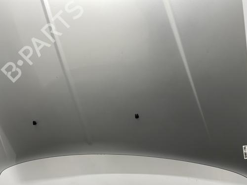 Used Hood Hood CHRYSLER 300C Touring (LX, LE) 3.0 CRD (218 hp) 32219984 32219984