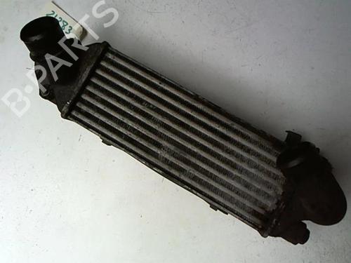 Used Intercooler LANCIA KAPPA (838_) 2.4 T.DS (838AE1AA, 838AH1AA) (124 hp) 21234000