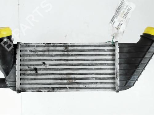 Used Intercooler CITROËN C8 (EA_, EB_) 2.0 HDi 165 (163 hp) 27838305