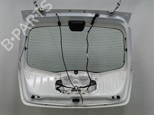 Tailgate DACIA SANDERO 1.4 (BS0C, BS0A, BS0G, BS1F, BS0E) | BP22102411C6 