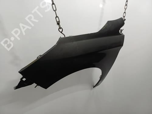 Left front fenders CITROËN C4 II (NC_) 1.6 HDi 90 | BP22103596C41