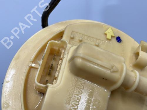 Fuel pump PEUGEOT 607 (9D, 9U) 2.7 HDi 24V | BP21062266M76