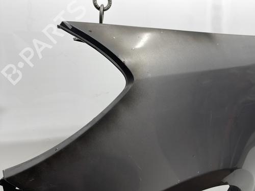 Left front fenders RENAULT CLIO III (BR0/1, CR0/1) 1.5 dCi (C/BR0G, C/BR1G) | BP20388759C41 