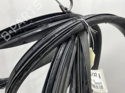 Rubber door seal RENAULT GRAND SCÉNIC III (JZ0/1_) 1.6 dCi (JZ00, JZ12) | BP24938170C142 