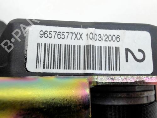 rear-left-seatbelt-peugeot-407-coupe-6c_-2005-31679215 main image