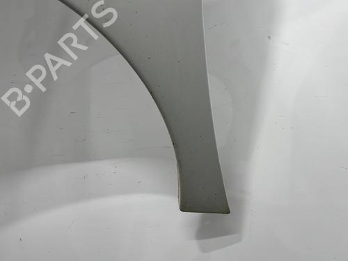 Left front fenders CITROËN JUMPY II Van 2.0 HDi 120 | BP30161779C41