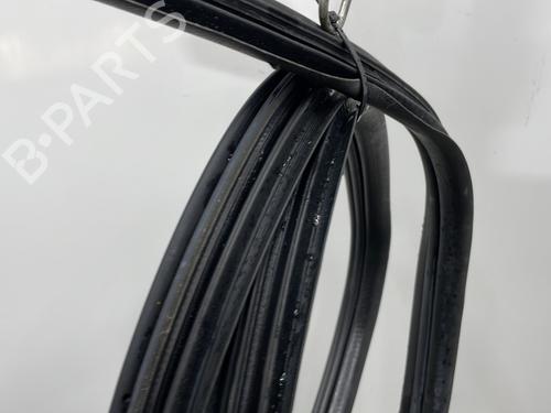 rubber-door-seal-dacia-sandero-2008-28962952 main image