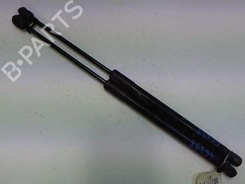 Used Tailgate lift support RENAULT CLIO III Grandtour (KR0/1_) 1.2 16V (KR02, KR0J) (75 hp) 20475197
