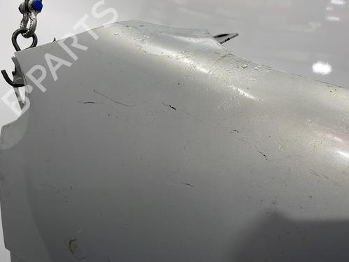 Forskærm Højre RENAULT SCÉNIC I MPV (JA0/1_, FA0_) 1.9 dTi (JA0N) | BP20448119C42 