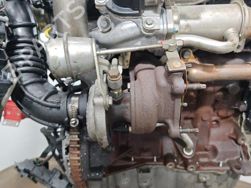 Engine RENAULT CLIO III (BR0/1, CR0/1) 1.5 dCi (BR17, CR17) | BP38450641M1 - Image 6