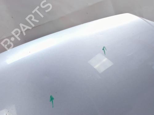 Hood FIAT IDEA (350_) 1.3 D Multijet | BP20436110C1 