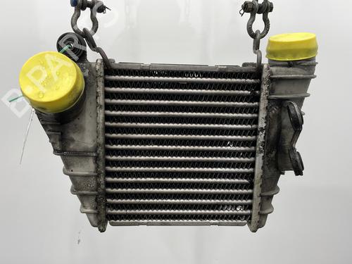 Used Intercooler VW GOLF IV (1J1) 1.9 TDI (90 hp) 25122456