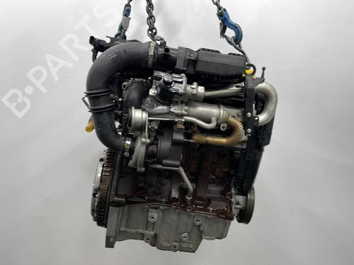 Engine RENAULT CLIO II (BB_, CB_) 1.5 dCi (B/CB3M) | BP28198536M1 