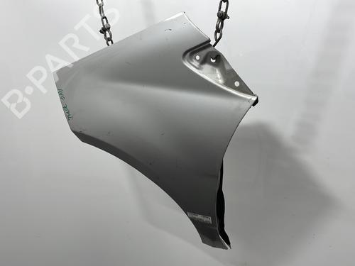 Left front fenders MERCEDES-BENZ A-CLASS (W169) A 200 CDI (169.008, 169.308) | BP20451062C41 