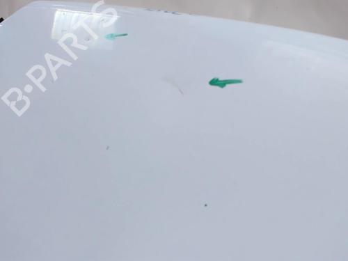 Used Hood Hood RENAULT TRAFIC Van (T_, P_, V_) 2.5 D (75 hp) 21203849 21203849
