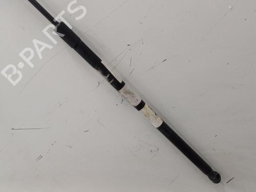 Hood lift support VOLVO C30 (533) 2.0 D | BP21238422C139 