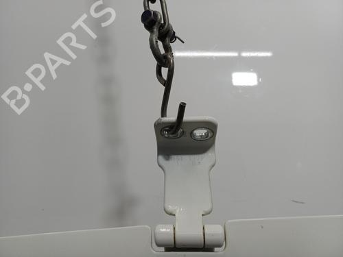Used Right tailgate Right tailgate FIAT DOBLO Cargo (263_) 1.6 D Multijet (263WXD1B, 263WXR1B, 263WXX1B, 263ZXD1B,... (105 hp) 34172059 34172059