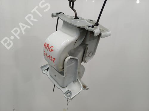 Hinge/Door check strap RENAULT TRAFIC III Van (FG_) 1.6 dCi 125 (FGMH) | BP21565438C146